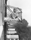 Клетки за бебета - по този начин децата са получавали достатъчно слънчева светлина и свеж въздух, когато са живеели в апартамент в града. Ок. 1937 г.