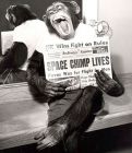 Шимпанзе позира пред обектива, след като изпълнява успешна космическа мисия, 1961 г.