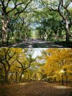 Пътеката на поета, Central Park, Ню Йорк, САЩ