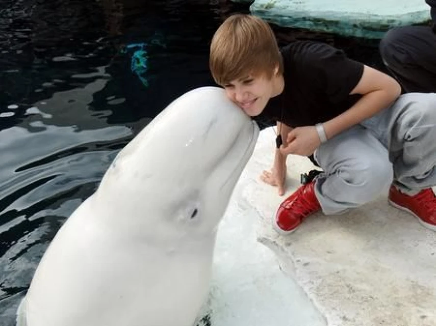 Джъстин заедно с Allua - женски кит в парка SeaWorld в Сан Диего